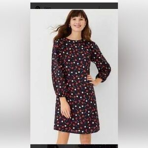 Ann Taylor Blue Dress with Red and White Pattern